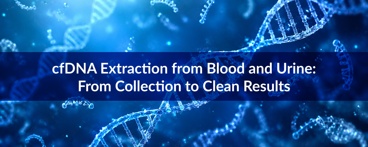 cfDNA Extraction from Blood and Urine: From Collection to Clean Results