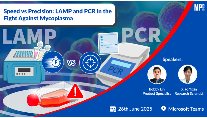 Speed vs Precision: LAMP and PCR in the Fight Against Mycoplasma